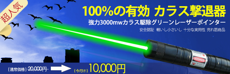 超強力レーザーポインターカラス撃退器3000mw